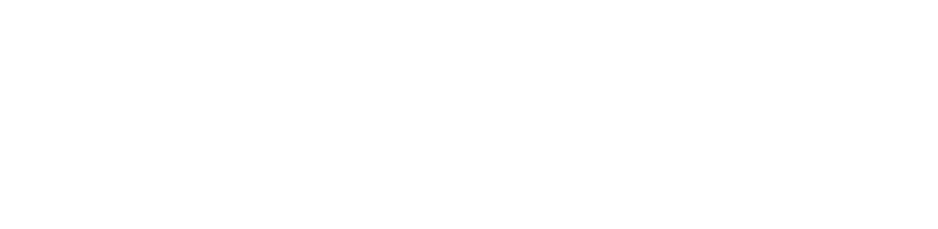 PayNow Traffic Portal